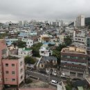 동삼1동-8 이미지