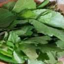 조은한우농장 이미지