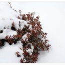 연담공원 Daum카페
