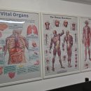 영등포로22길 | 여의도마사지 삶의 균형을 찾다: 카이로 근원케어 체험기