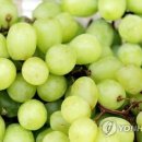 샤인하우스가동 연합뉴스