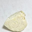 돌참치 이미지