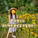 큐티쿨 | 여름 필수템! 마벨슈슈 큐티캐롯 쿨냉감 프릴원피스 아동원피스 착용후기