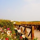더한의원 네이버블로그