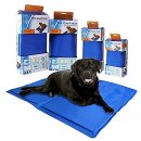 시원애견 이미지