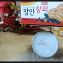 식이네농장 | [2014년도 식이네 햇참외] 주문 받습니다.