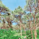 화수목 농원 이미지