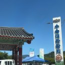 수승대야영장 네이버블로그