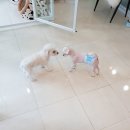 루비미용타운