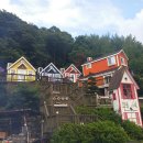 강촌초코민트 이미지