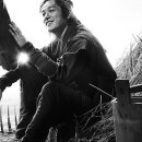 의관목장 이미지