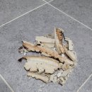 성원원룸 | 양천구 목동2차성원아파트 변기 백시멘트 실리콘 재시공 ㅡ 당일바로출장집수리