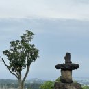 제주도게스트하우스파티 리조트 청 이미지