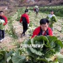 농협 목포농수산물유통센터 이미지