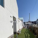 스테이 도토리 이미지