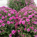 첫마을6단지 B상가 이미지