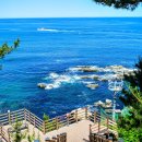 바다향기로 이미지