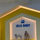 헬로우버디 분당점 이미지