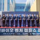 대한민국1호 이미지