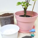부천 도서관 온라인 줌 화상수업 독서원예 초등학생 원예수업 힐링수업 [나의 강점 찾기] 무늬 파비안...