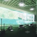 비치골프연습장 이미지