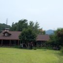 들꽃이야기 이미지