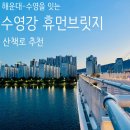 공간 -모정 | 수영강 다리 산책로 휴먼브릿지, 센텀·수영 연결 산책길 추천