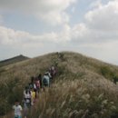 한우리 11월 정기산행 안내 (천관산) 이미지