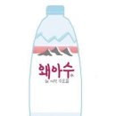 라잇플라워 이미지