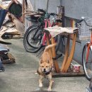 아이센스리그PC방 역곡역점 이미지