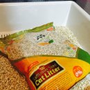 스마트캣 이미지