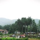 곰 펜션 이미지