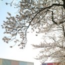 더럭초등학교 이미지