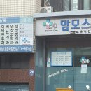 맘모스의원 이미지