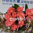 미스트블루