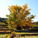 도이2리 이미지