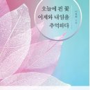 오늘에 핀 꽃 어제와 내일을 추억하다 이미지