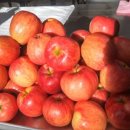 윤의열 농장 이미지