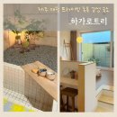 하가로트리 | 제주 애월 하가로트리 101호 감성있는 야외 족욕 가능 숙소 추천