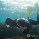 해녀 연합뉴스