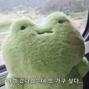 송정메타세콰이어길 | 담양-광주 1박 2일 여행코스(담양국수거리-죽녹원-메타세콰이아길-명화식육식당-1913송정역시장-석거정)