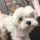 웨그앤코 이미지