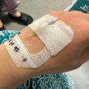 "제발 멈춰달라" 묵살한 강제 팔굽혀펴기…병사 근육 녹았다 이미지