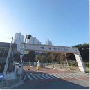 삼남(병설)유치원 이미지