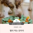 청학동물병원 이미지