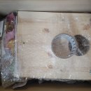 별솔농장 | 앵무새알통 구매...feat 아가새농장