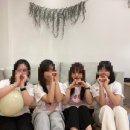 담다디목장 | 2024_01 일상(2)_제주도(결항을 곁들인) 그리고 강릉