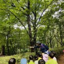 🌳숲체험 - 매미랑 나무랑 놀아요🌳 이미지