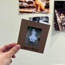 메모르드몽 이미지