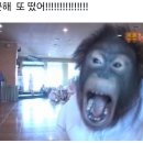 영진FD